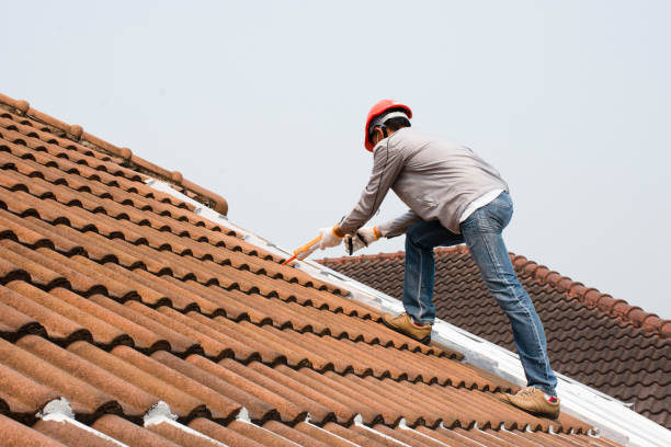 Trusted De Motte, IN Roofing services Experts